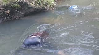 Fishing pagkatapos ng bagyong Kristine ang lalim na lalo ng ilog [upl. by Xuaeb]