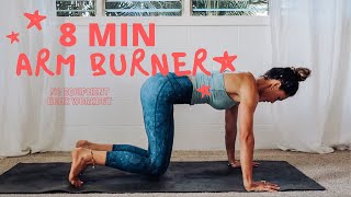 8 MIN ARM BURNER  Tone the arms using Body Weight No equipment needed [upl. by Assertal238]