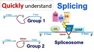 Splicing [upl. by Anoik]