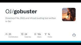 AI Podcast GitHub  OJgobuster DirectoryFile DNS and VHost busting tool written in Go [upl. by Lairbag]