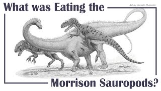 What was Eating the Morrison Sauropods [upl. by Yulma]