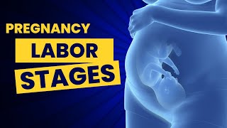 Pregnancy  Stages of Labor Simplified [upl. by Strade]