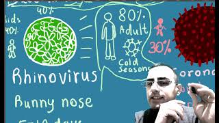 6y Can you catch the same cold twice Common cold viruses [upl. by Audy]