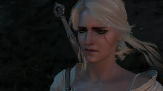 The Witcher 3 Vesemir funural OST  Farewell Old friend [upl. by Bala]