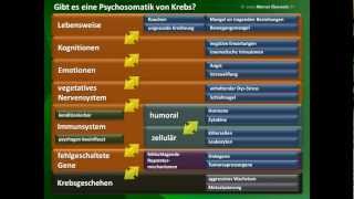 Werner Eberwein Psychosomatik bei Krebs [upl. by Serge956]