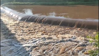 Cheia continua no Rio Salgado em Aurora Ceará águas para gigante Castanhão 16032024 [upl. by Athiste]