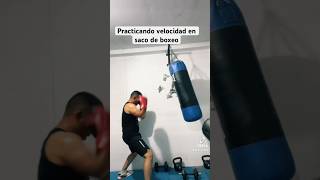 Practicando velocidad en saco de boxing [upl. by Xanthus]