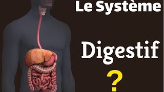 Le Système Digestif [upl. by Neih]