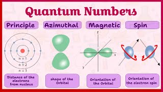 Quantum numbers For Beginners  Quantum Numbers in chemistry  All in one [upl. by Boor]