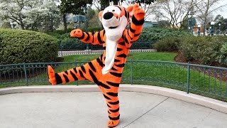 Tigger Bounces at Disneyland Paris Plus Eeyore Meet and Greet with Sleeping Beauty Castle in View [upl. by Yrolg902]