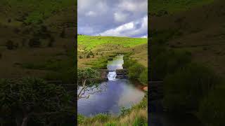 Horton Plains National Park  Nuwaraeliya travel waterfall beautiful [upl. by Caswell289]