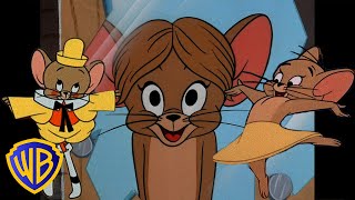 Tom amp Jerry  Fun Days with Jerry 🐭🥳  Classic Cartoon Compilation  wbkids​ [upl. by Ecyarg]