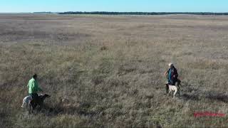 Carrera de galgos con dron [upl. by Gebelein]