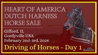 Preview of Sale Hoses Day 1  2024 Heart of America Dutch Harness Sale [upl. by Eimac843]