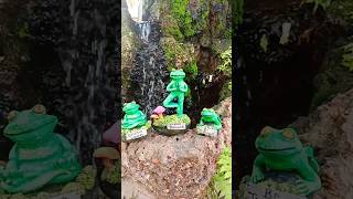 DIY Frog Garden Decor  Home Decor Ideas  Fevicryl Hobby Ideas India [upl. by Yblek964]