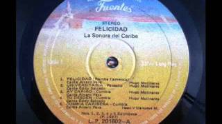 Felicidad  La Sonora del Caribe [upl. by Bernt]