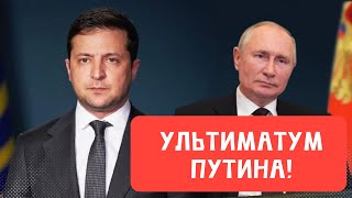 УЛЬТИМАТУМ ПУТИНА  РАЗГОВОР ПУТИНА И ШОЛЬЦА  МАСК ВЫСМЕЯЛ ЗЕЛЕНСКОГО [upl. by Meggie]