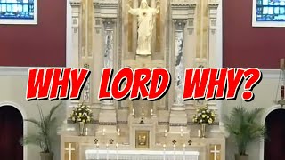 Homily 31st Sunday in Ordinary Time 1030am Mass 11324 catholichomily catholicprayer [upl. by Edda]