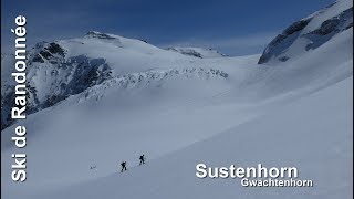 Ski de randonnée  Sustenhorn  3503m [upl. by Sneed563]