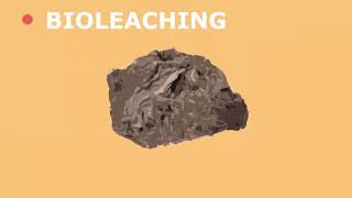 Future Extraction Methods Bioleaching and Phytomining [upl. by Ashatan85]