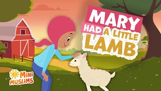 Mary Had a Little Lamb Eid Song 🐑 MiniMuslims ☀️ [upl. by Aklog]