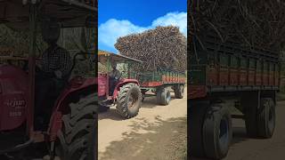 Simmba Theme 2 KURMI tractorfarming jcb shortvideo trending farmlife village track [upl. by Rieger]