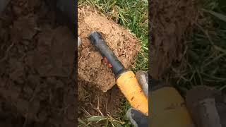 metal detecting with minelab vanquish 440 metaldetecting minelab metaldetectingparks [upl. by Ayekam]