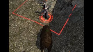 Killing D9 H2 wraiths on LOTRO Legendary combats only Pt 1 [upl. by Adyan234]