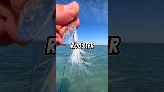 Let’s fish with a ROOSTER TAIL 🐟🎣 fishing fish [upl. by Noryv]