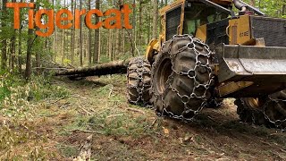 Tigercat 610E Skidding Big Pine Impressive Logging Machine in Action [upl. by Yrkcaz]