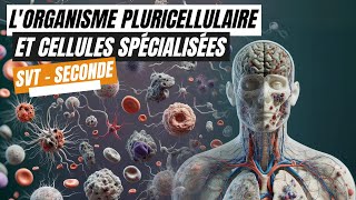 Lorganisme pluricellulaire un ensemble de cellules spécialisées  SVT seconde [upl. by Otrevlig]