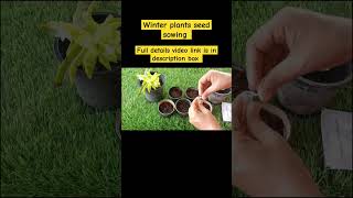 Winter plants seed sowing [upl. by Melisent293]