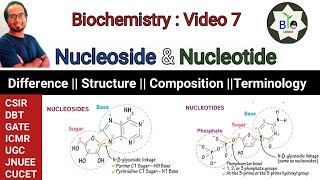 What is Nucleotide  What is Nucleoside  Difference between Nucleotide amp Nucleoside  CSIR DBT [upl. by Adnah]