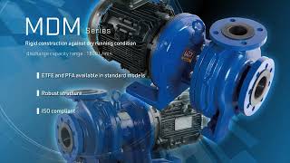 IWAKI Process magnetic drive pumps Overview [upl. by Retsof]