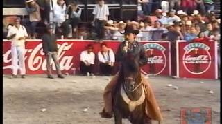 BANDIDO DE AMORES JOAN SEBASTIAN EN VIVO EN CAÑADA DE CARACHEO GUANAJUATO [upl. by Bessy104]