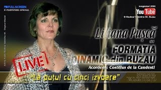 LILIANA PUSCA  La putul cu cinci izvoare oficial audio [upl. by Anelis]