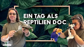 1 Tag als ReptilienDOC in größter Auffangstation Deutschlands [upl. by Ahsinned]