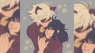 Your Shampoo  MariChat Complete Fanfiction Series Identity Reveal Fluff Miraculous Ladybug [upl. by Naryb]