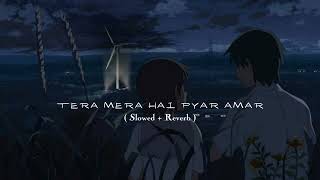 Tera Mera Hai Pyar Amar Full Song  Slowed and Reverb [upl. by Riccio]