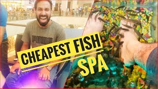 Cheapest Fish Spa II Fish Spa Chandigarh [upl. by Huda]