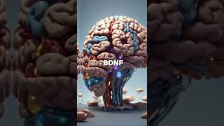 Top 3 Foods to Promote Brain Cell GrowthBrainHealth BDNF food nutrition healthydiet [upl. by Yhpos]