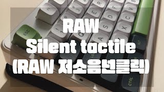 RAW 저소음 넌클릭 스위치 Raw silent tactile switch keyboard keyboardasmr 키보드asmr 키보드 asmr [upl. by Kcirtemed846]