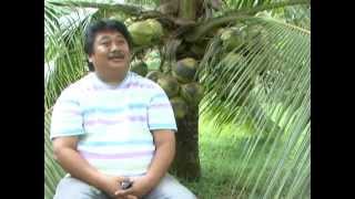 Wilfredo Baje Jr  Gawad Saka CY2014 Outstanding Coconut Farmer Region IX [upl. by Nayrb]