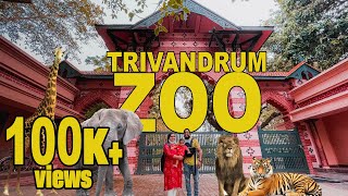 Trivandrum Zoo  New Animals  Travcup by Anoop amp Arathy [upl. by Sirois]