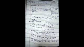 Biosynthesis of catecholamine and synthesis of phenylephrine shortvideo [upl. by Aramois217]