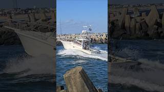 Miss Tres Rides A Wave In The Manasquan Inlet [upl. by Melena]