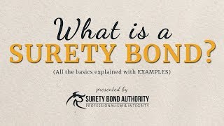 What are Surety Bonds Explained with Examples [upl. by Doowle74]