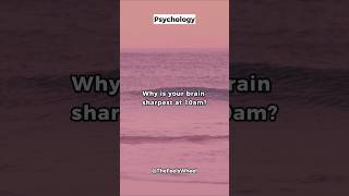 Brain Optimization Hack Why 10am is Your Power Hour 💡 psychologyfacts [upl. by Micheal]