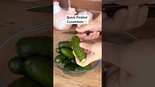 Quick Pickled Cucumbers👌🏻 [upl. by Nahej]