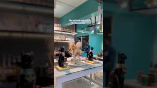 Cat cafe in Dhanmondi reel viralvedio plzdosuporrtmychanlfriends [upl. by Bashee]